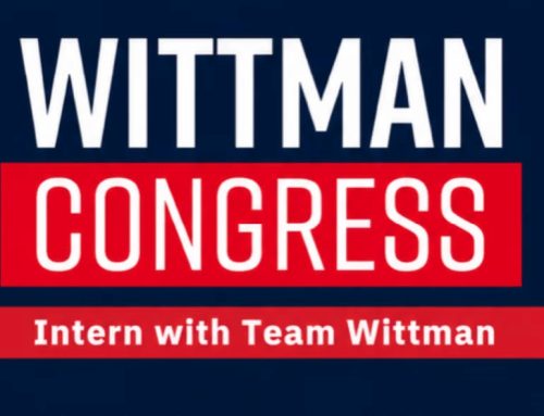 Intern with Wittman!